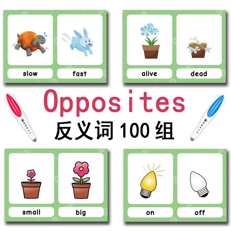 The 100 Groups Opposites Flash - đánh giá và giá Kids Early Education