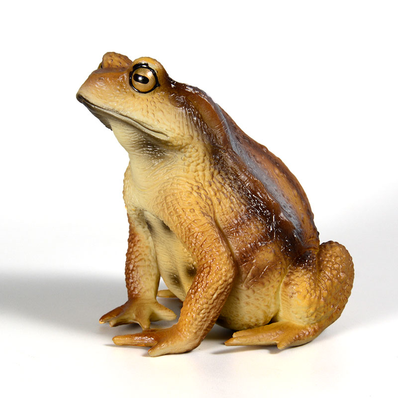 Amphibian Frog Figure Insect M - đánh giá và giá Kids First Education