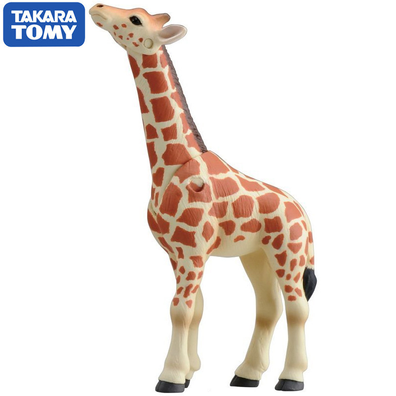Original Takara Tomy Ania Gira - đánh giá và giá Kids First Education