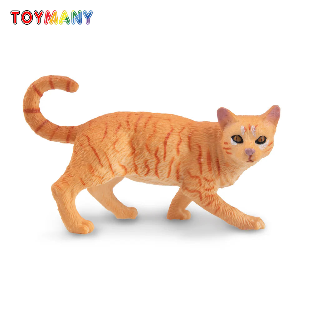 Toymany Simulation Striding Or - đánh giá và giá Kids First Education