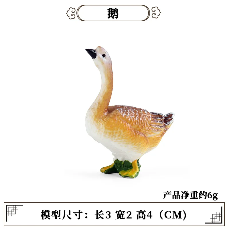 Education Teaching Tool Poultr - đánh giá và giá Kids First Education