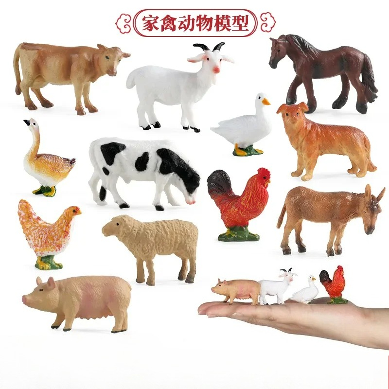 Education Teaching Tool Poultr - đánh giá và giá Kids First Education
