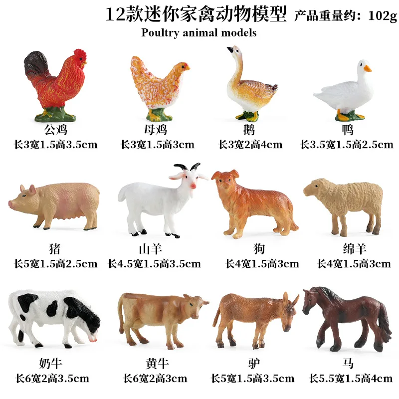 Education Teaching Tool Poultr - đánh giá và giá Kids First Education
