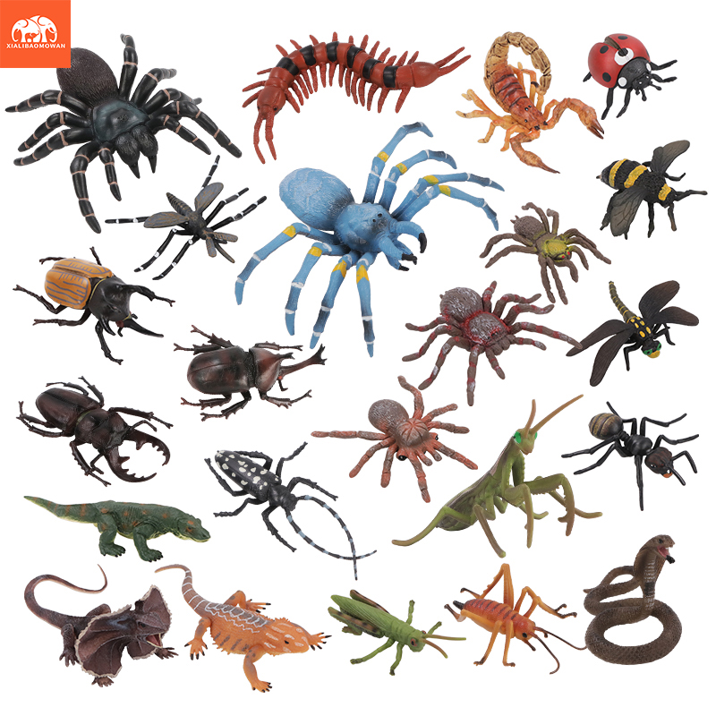 Educational Simulation Insect  - đánh giá và giá Kids First Education