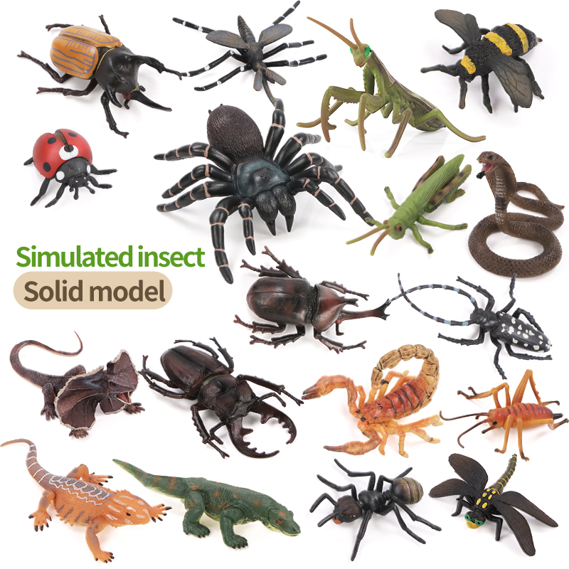 Educational Simulation Insect  - đánh giá và giá Kids First Education