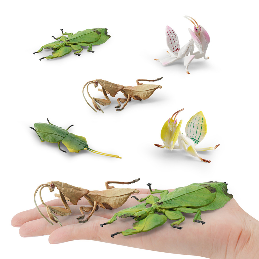 Realistic Orchid Mantis Dead L - đánh giá và giá Orchid Kids Education